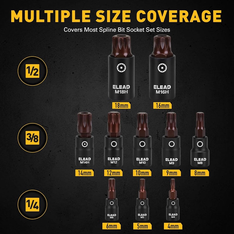 ELEAD 13-Piece XZN Triple Square Spline Bit Impact Socket Set - Premium S2 Steel European Style M4 - M18 with Socket Adapters, 1/4”, 3/8” and 1/2” Drive | Professional Mechanic Garage Tools - Image 2